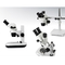 Συνεχές οπτικό ελαφρύ μικροσκόπιο Ploidy 4.5x με τα εξαρτήματα μικροσκοπίων